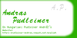 andras pudleiner business card